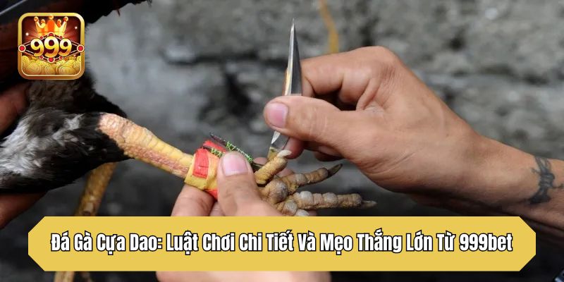 Đá Gà Cựa Dao: Luật Chơi Chi Tiết Và Mẹo Thắng Lớn Từ 999bet